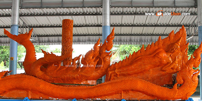 ต้นเทียนยาวที่สุดในโลก-อุบล-06.jpg